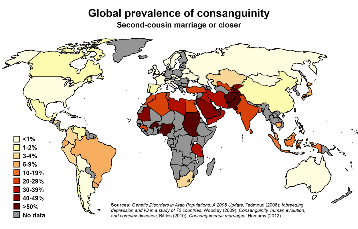 IMG_20240628_181052_538