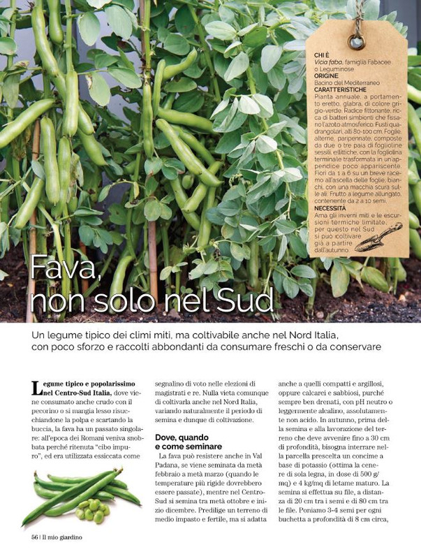 Il Mio Giar Dic 2022-Gen 2023 (9)