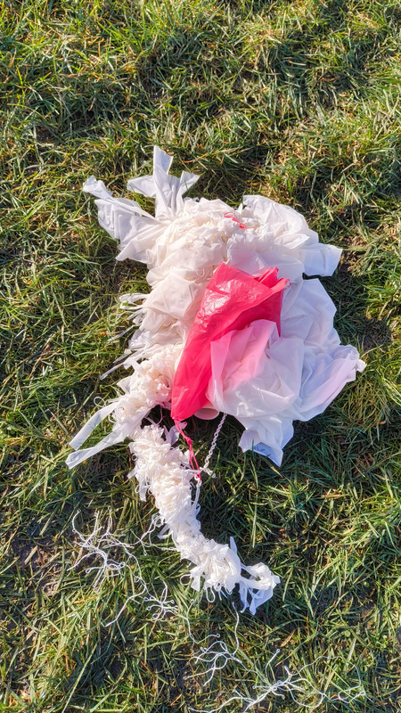 IMG 20260308 092914222