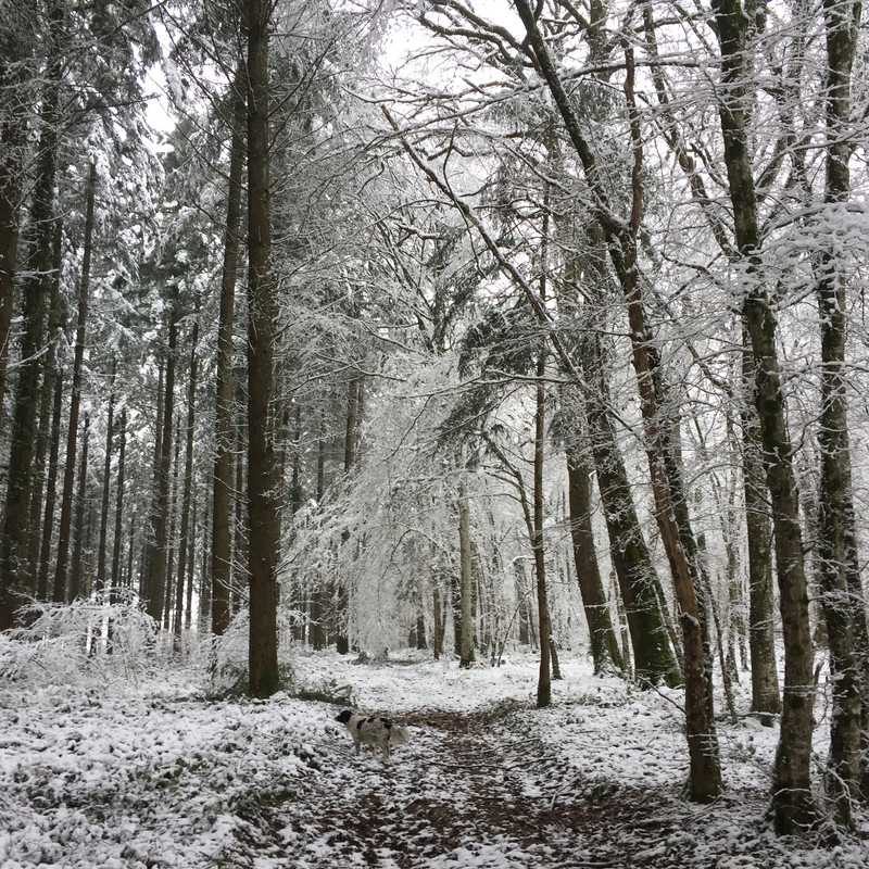 C5ABDAE6-49EF-44F0-9281-B015D7F1836A