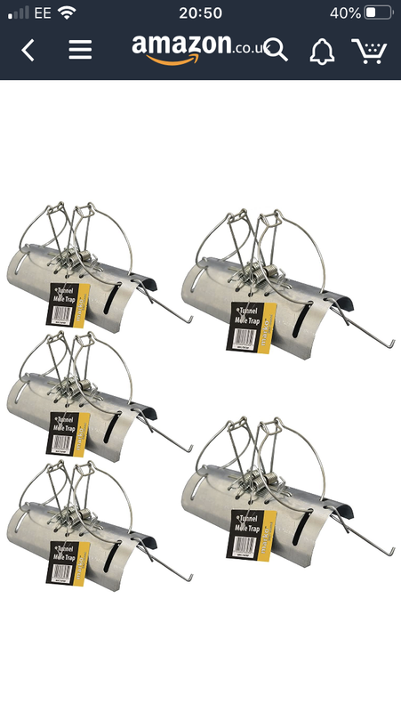 251E1EF3-128F-4272-8075-AF84C7949B99