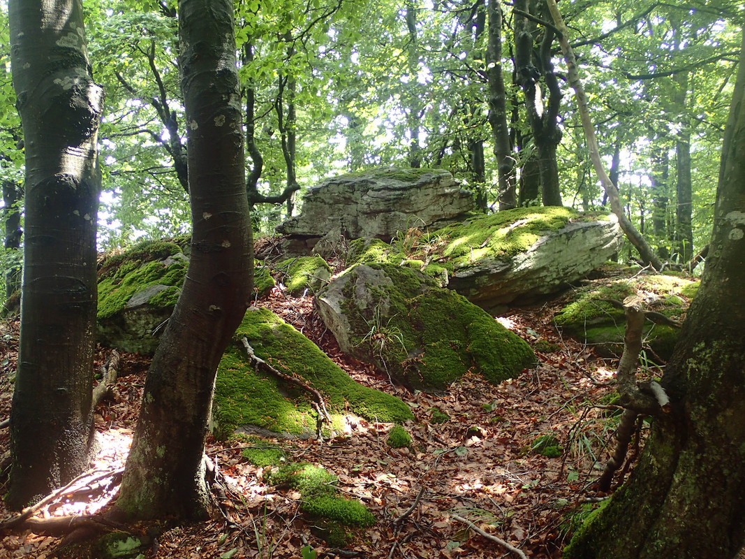 2019_0714VTACNIK_TG0059