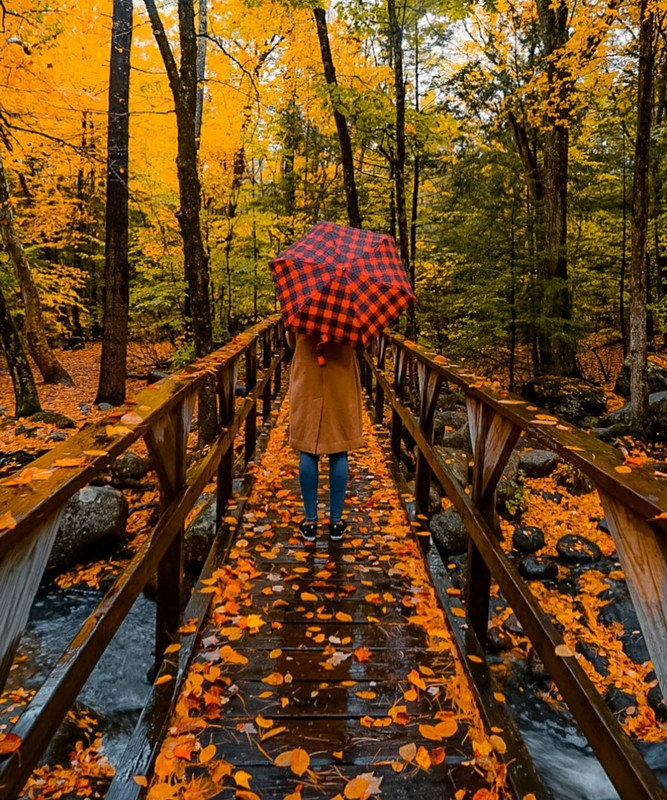 Screenshot_20231206_220330_Instagram