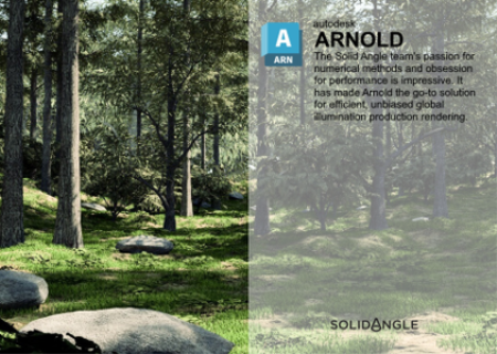 Solid Angle Cinema 4D to Arnold 4.3.0