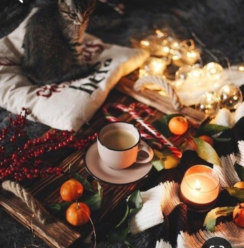 Screenshot_20240118_222602_Pinterest