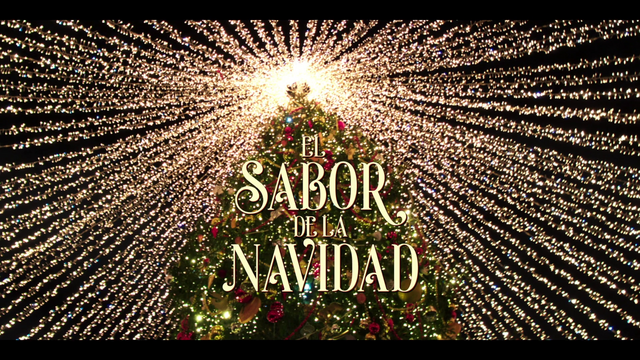 vlcsnap-2023-11-16-03h58m30s491