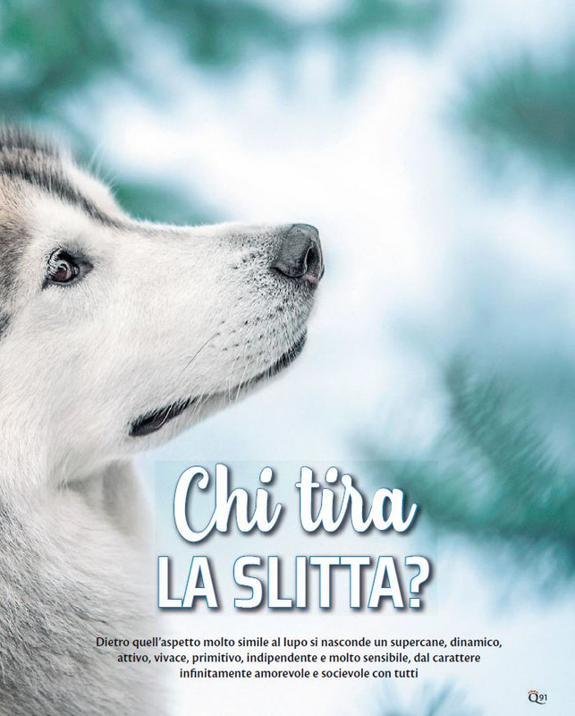 QuattroZampe Dic 2023-Gen 2024 (6)