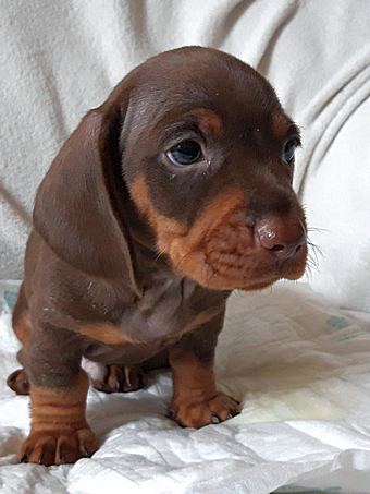 145409897-10222435305665573-4494675429995630204-o