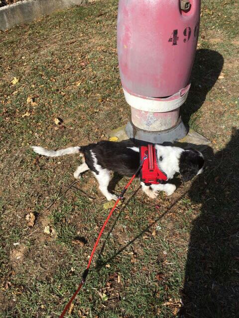 29D7B0A4-D373-4EC8-A43A-81D955F5A7DD