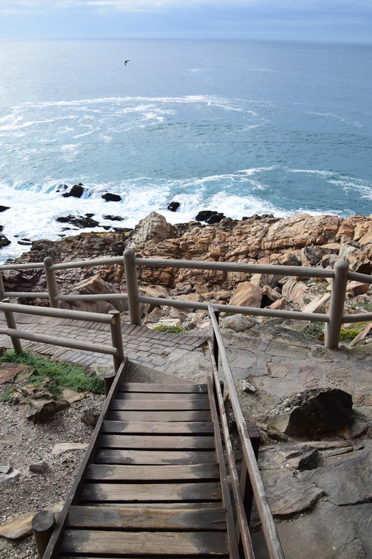 DSC_0109 (2)