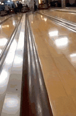 daily-gifdump-3298-30.gif