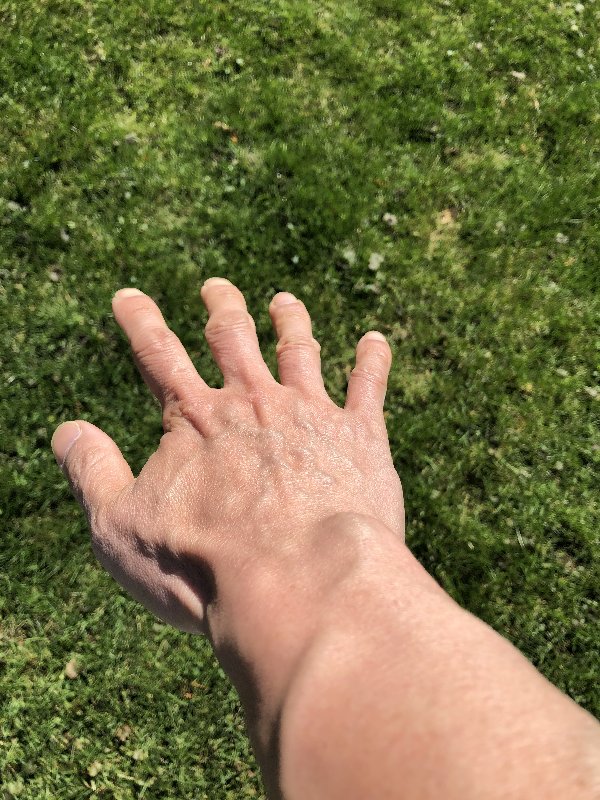 [Image: F3-BAC7-EF-47-CB-4-B80-B772-0-F9-EB57231-A2.jpg]