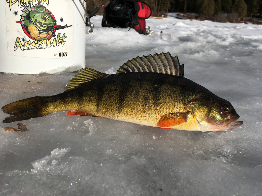 445E38E5-4BCC-4ADA-80BB-9708562F5F17