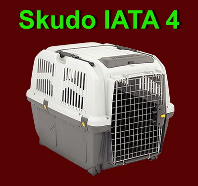 72127-Skudo-IATA-4-RNH