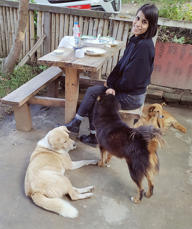 Street dogs in Bhutan