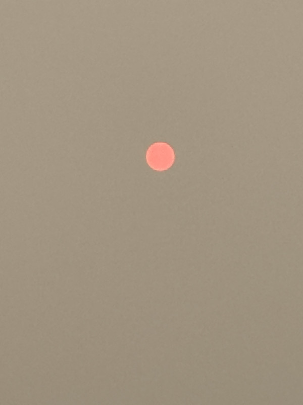 IMG 3576