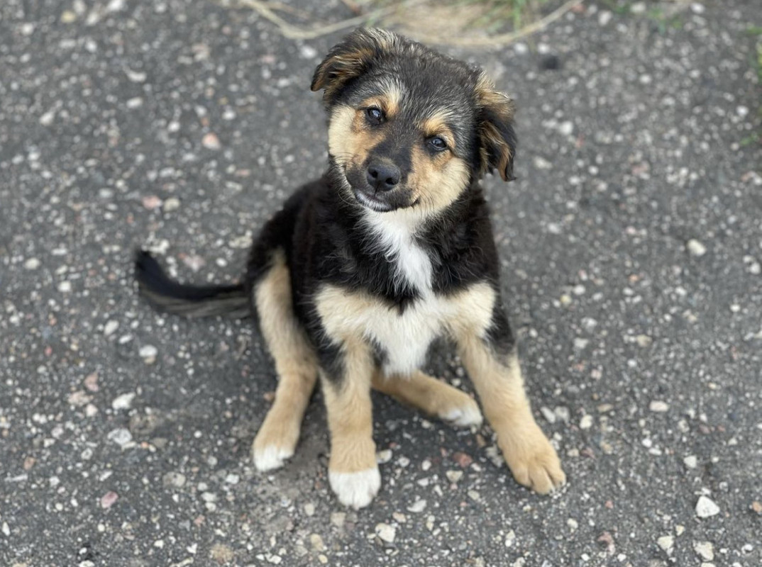 D90B8776-AE9D-4CB6-897F-82E13BA8F1D0