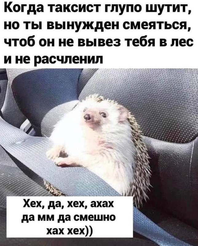 274226426_121881120403379_3286622229443363614_n