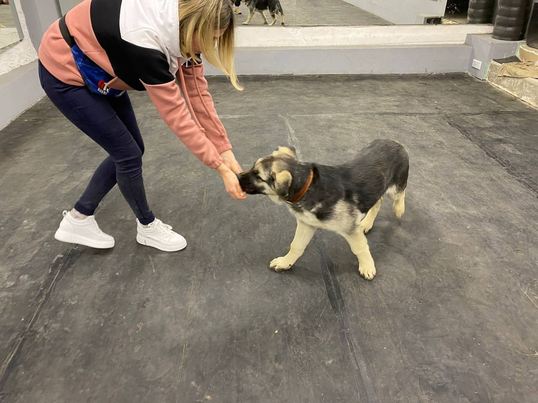 lkHv9m_1vGNqb47TtoqCAQwVeDoxWP-ShWeXKSgYCLa536-110yJFWD_nAus_pJ9sXvNkVQblGEFcTCi3hBN8hlU