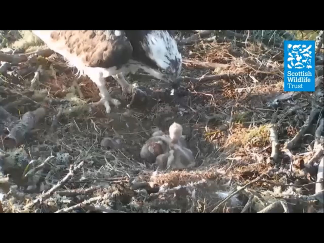 5932275A-CCB3-48EE-8804-3CCA37899A4F