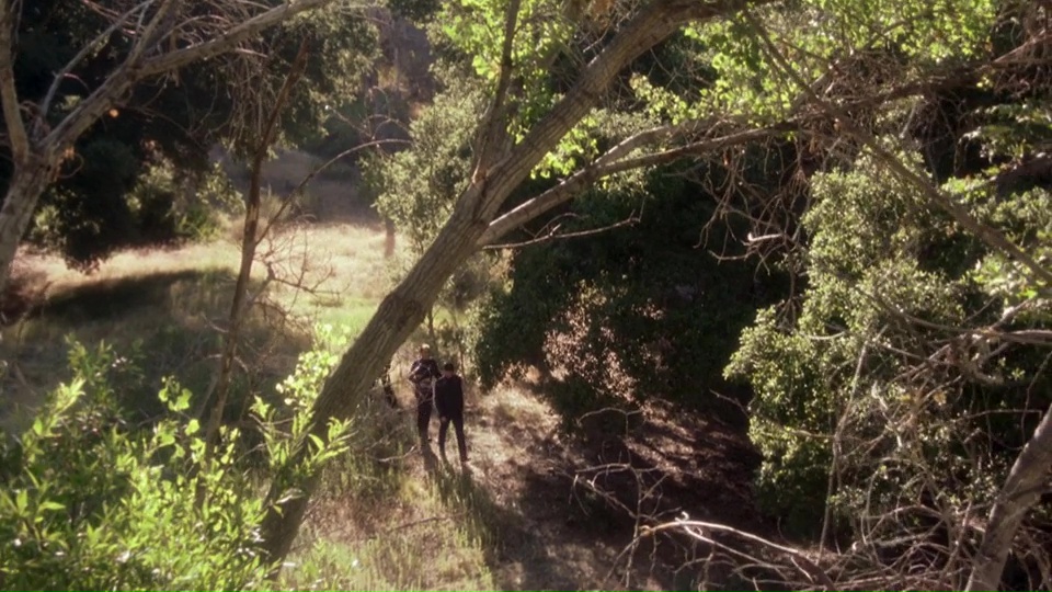 vlcsnap 2026 03 07 10h09m29s798