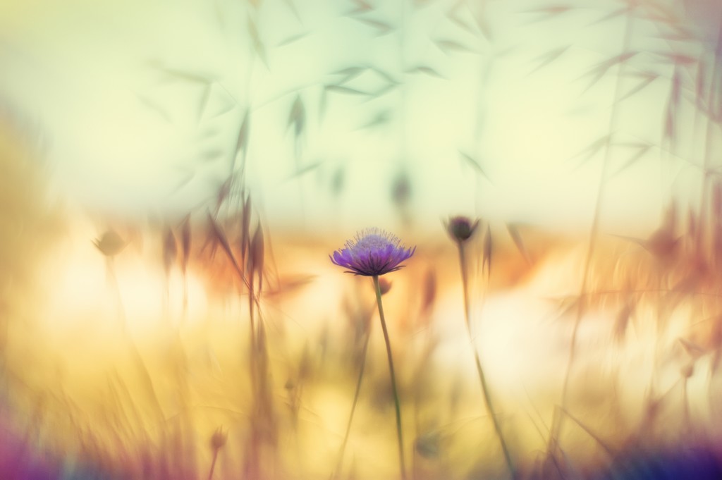 Helios-44-2.jpg