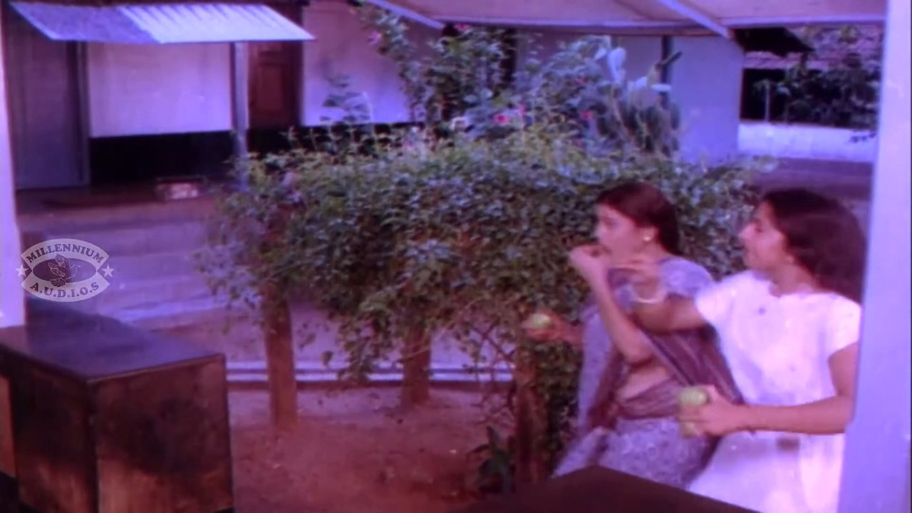 Beautiful and young geetha navel and other saree scenes.mp4_snapshot_00.17.797
