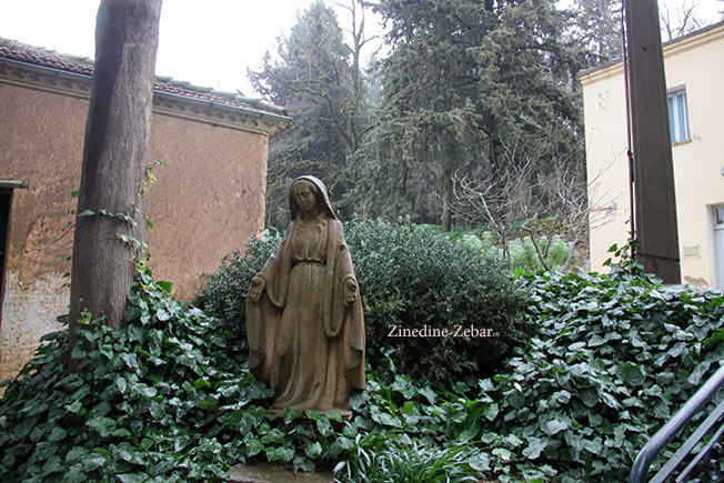 8122B2E2-A397-4017-8FE1-AD5C637A1136