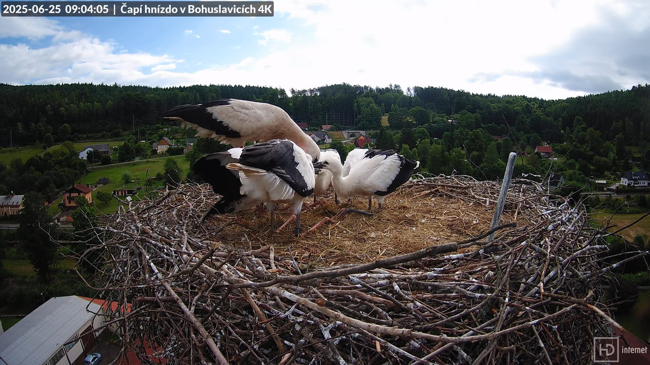 Tiešraide no KARA uzņēmuma stārķu skursteņa Bohuslavicē netālu no Trutnovas 8-59-8 screenshot (1)
