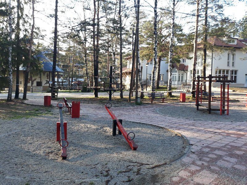 Slika