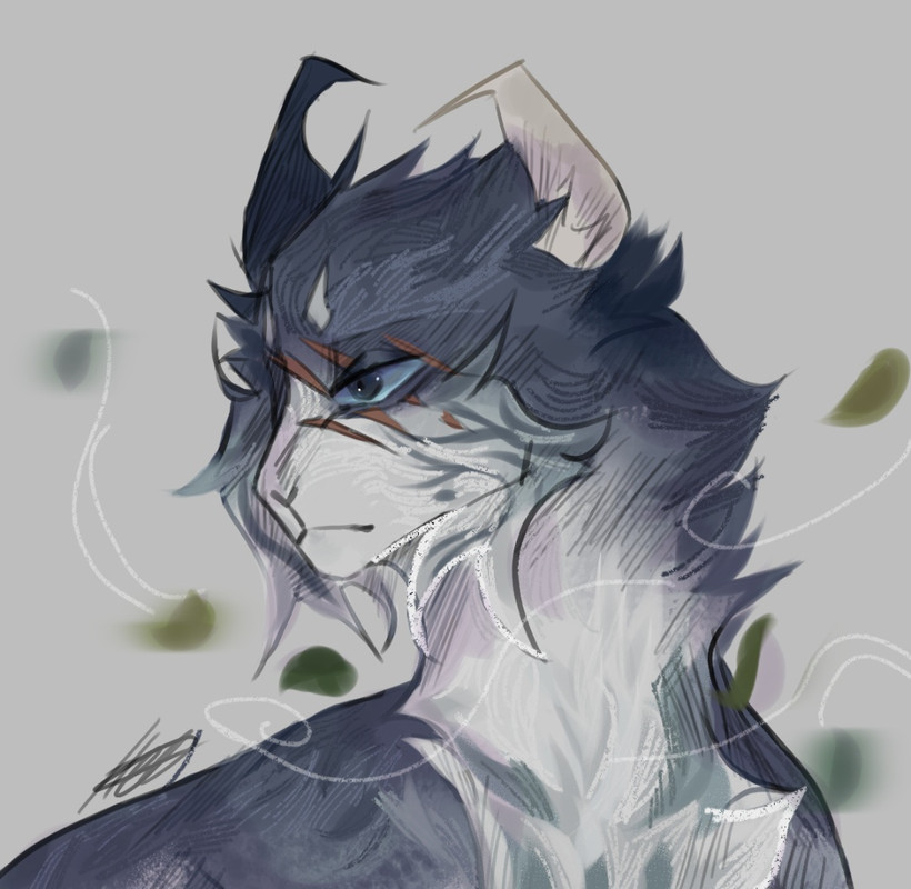 Screenshot_20250221_194758_Gallery