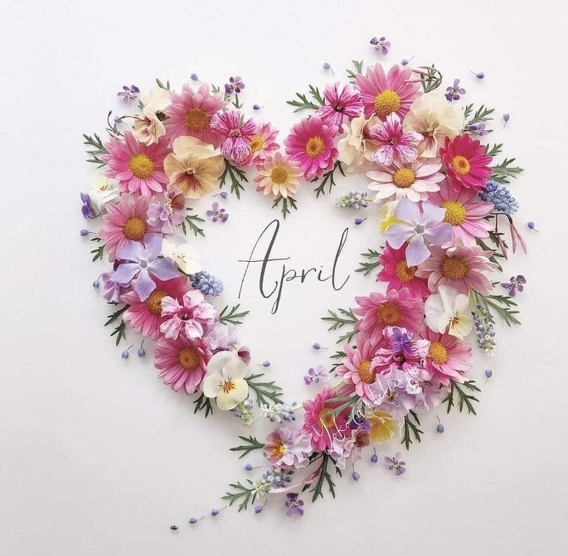 Screenshot_2024-04-01-17-39-08-205-edit_com.facebook.katana