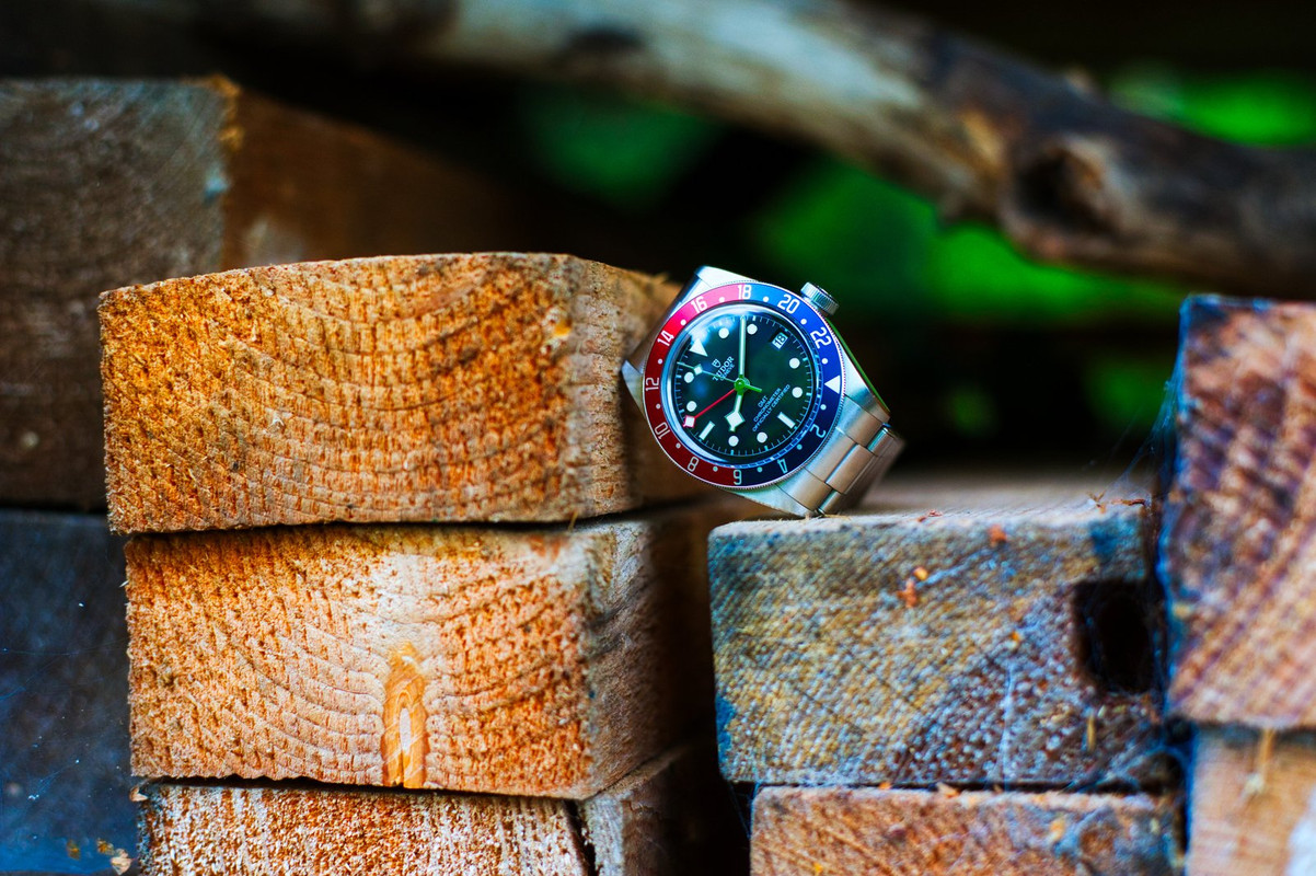 Feu de vos Dual Time - GMT - Worldtimer - tome II - Page 17 D3-S2668-6