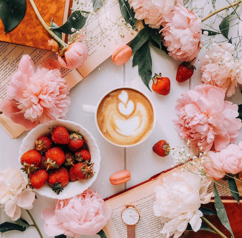 Screenshot_20231210_175546_Instagram