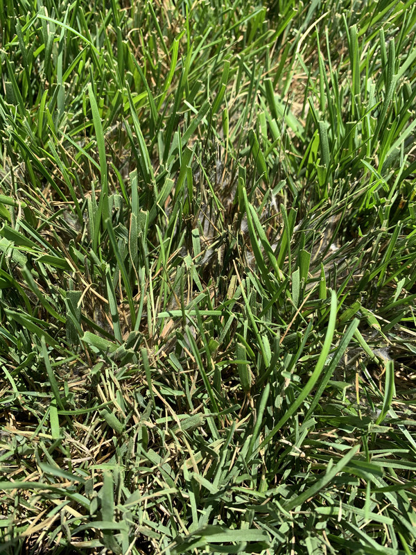 1FC42DED-019E-4CF6-BCAC-47128BD31AA7