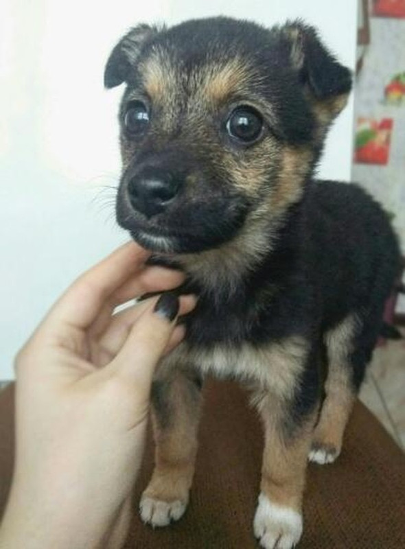 8CCBF7AB-85F9-476D-86B4-D300AA049126