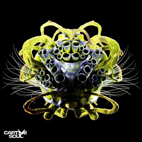 00-carl-bee-suspicious-ep-c-S030-web-202