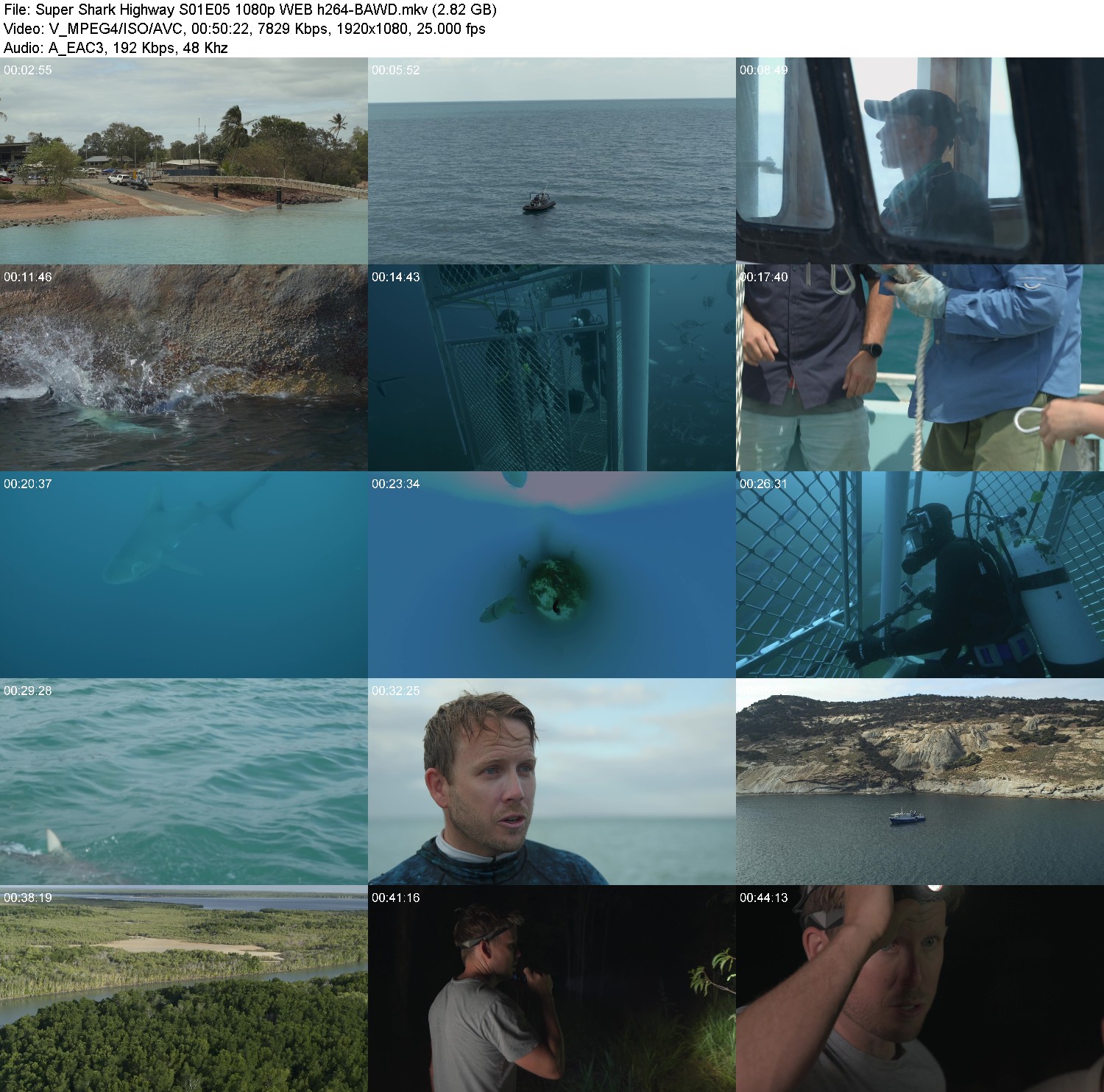 [Image: 5dbqy60cxbh7.jpg]