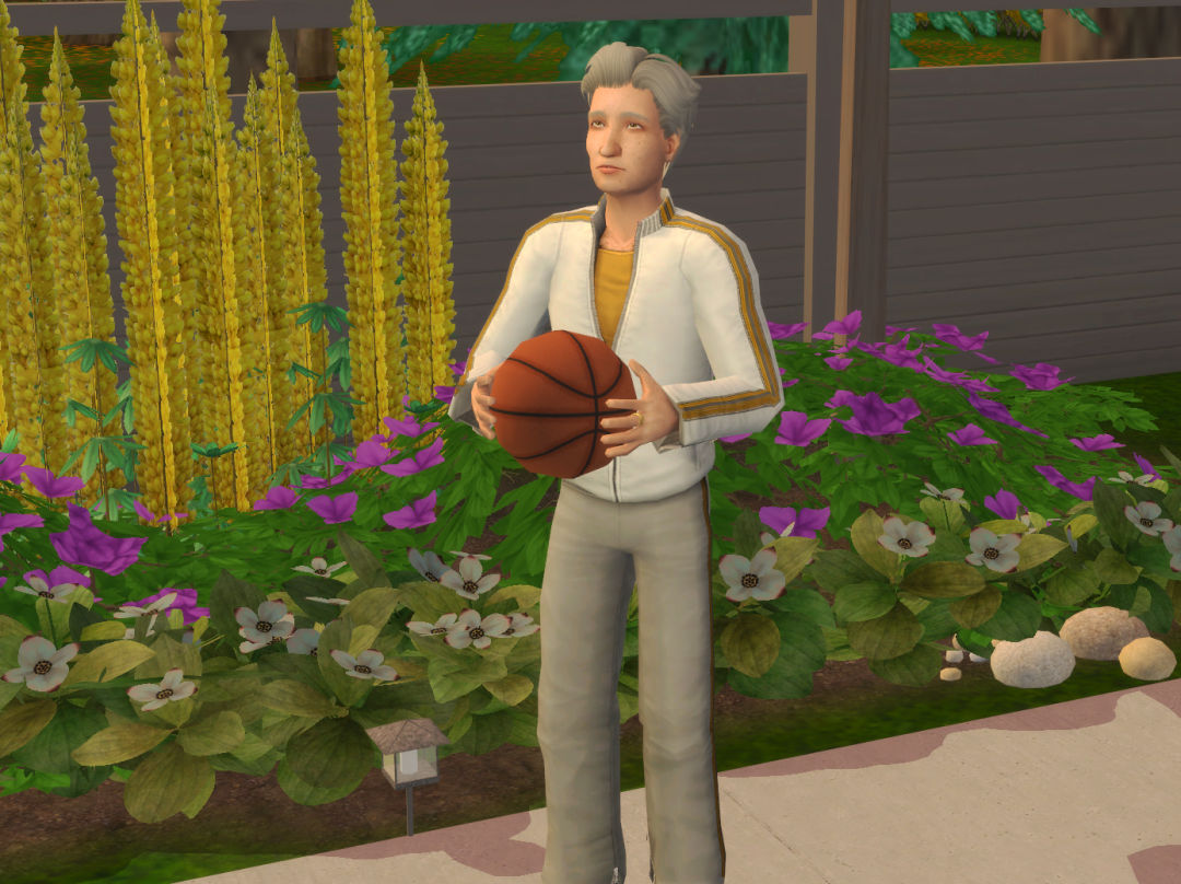 Sims2-EP9-RPC-2024-08-24-08-42-48-50