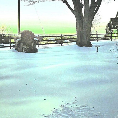 Ben-Wolfe-Winter-In-Hindsight-WEB-2026-E