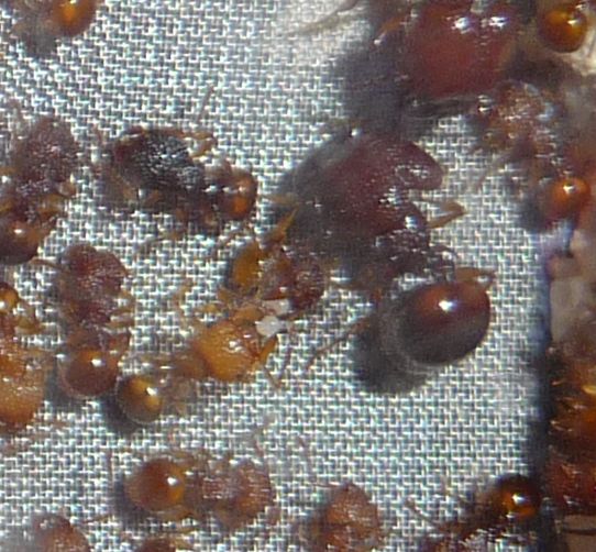 2101-new-eggs2.jpg