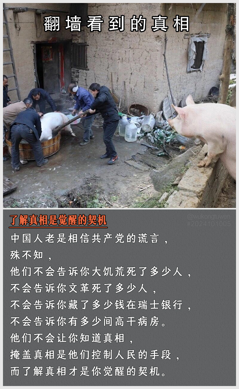https://i.postimg.cc/L9HLkJ87/2024101005.jpg