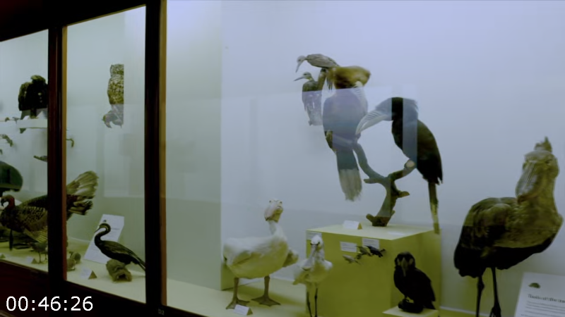 [Image: tndzc4003upe.png]