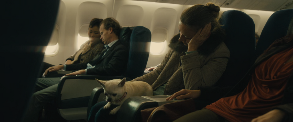 [Image: b2skk77et9cg.png]