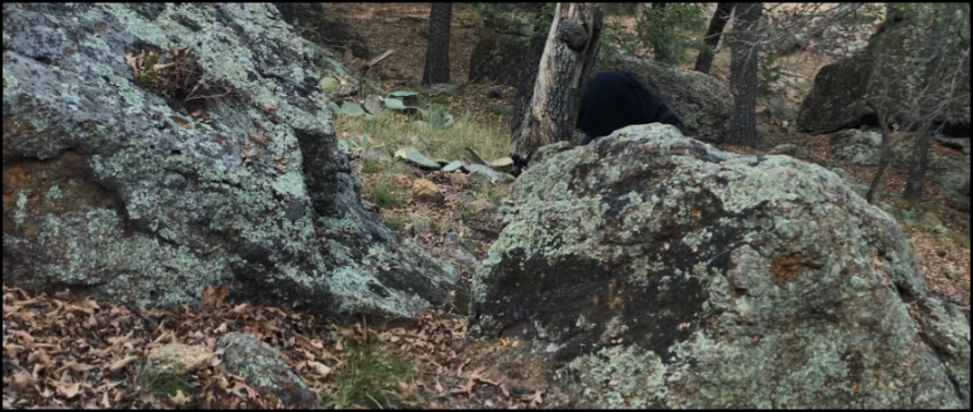 [Image: pv0y3ngz4j4a.png]