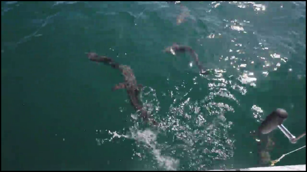 [Image: 3ckc0jgffu01.png]