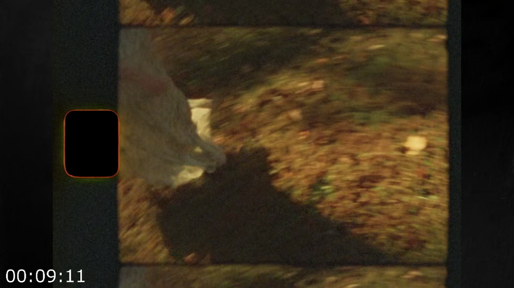 [Image: t7eqhk969pya.png]