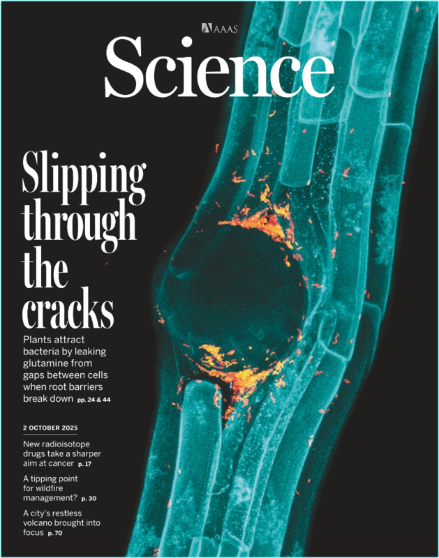 [Image: v84vv5sdfly5.png]