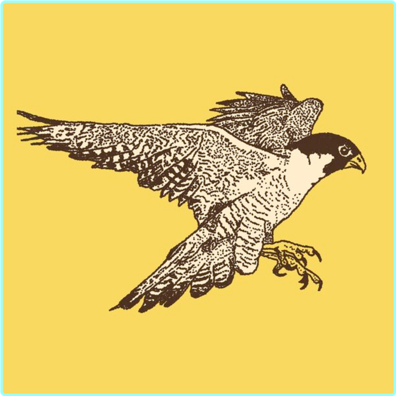 [Image: f9ifiyu6j16z.png]