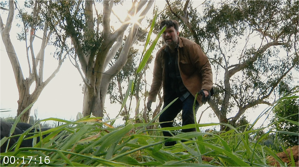 [Image: n51cd7mih6ky.png]